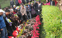 绿色清明 大型鲜花葬