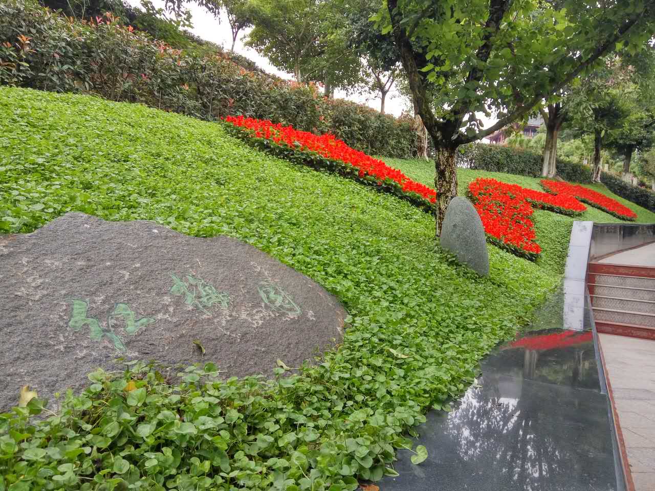 生态景观