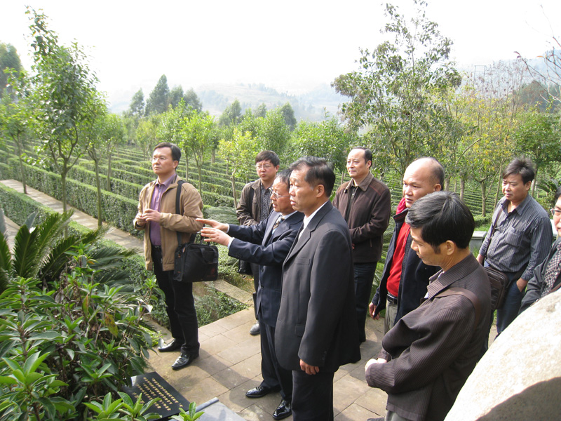 广东省民政厅参观学习长松寺生态葬园区