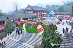 四川新闻报道：成都公墓绿色清明祭祀