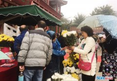四川在线网报道：成都长松寺公墓首推“诗歌朗诵祭祀”